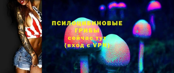бутират Дмитриев