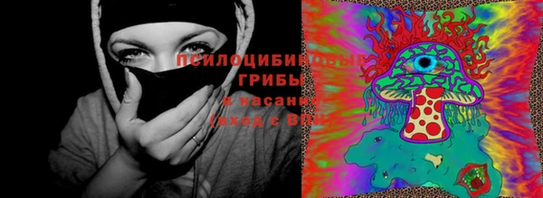 прущая мука Дмитров