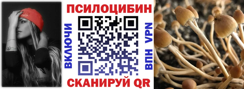 Псилоцибиновые грибы Psilocybine cubensis  Купить где  Зима 